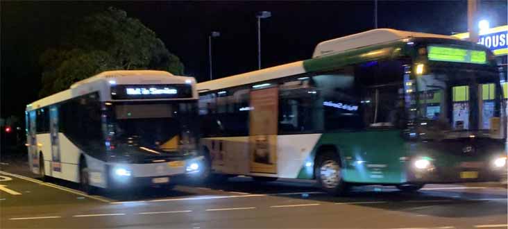 Forest Coachlines vs Sydney Buses